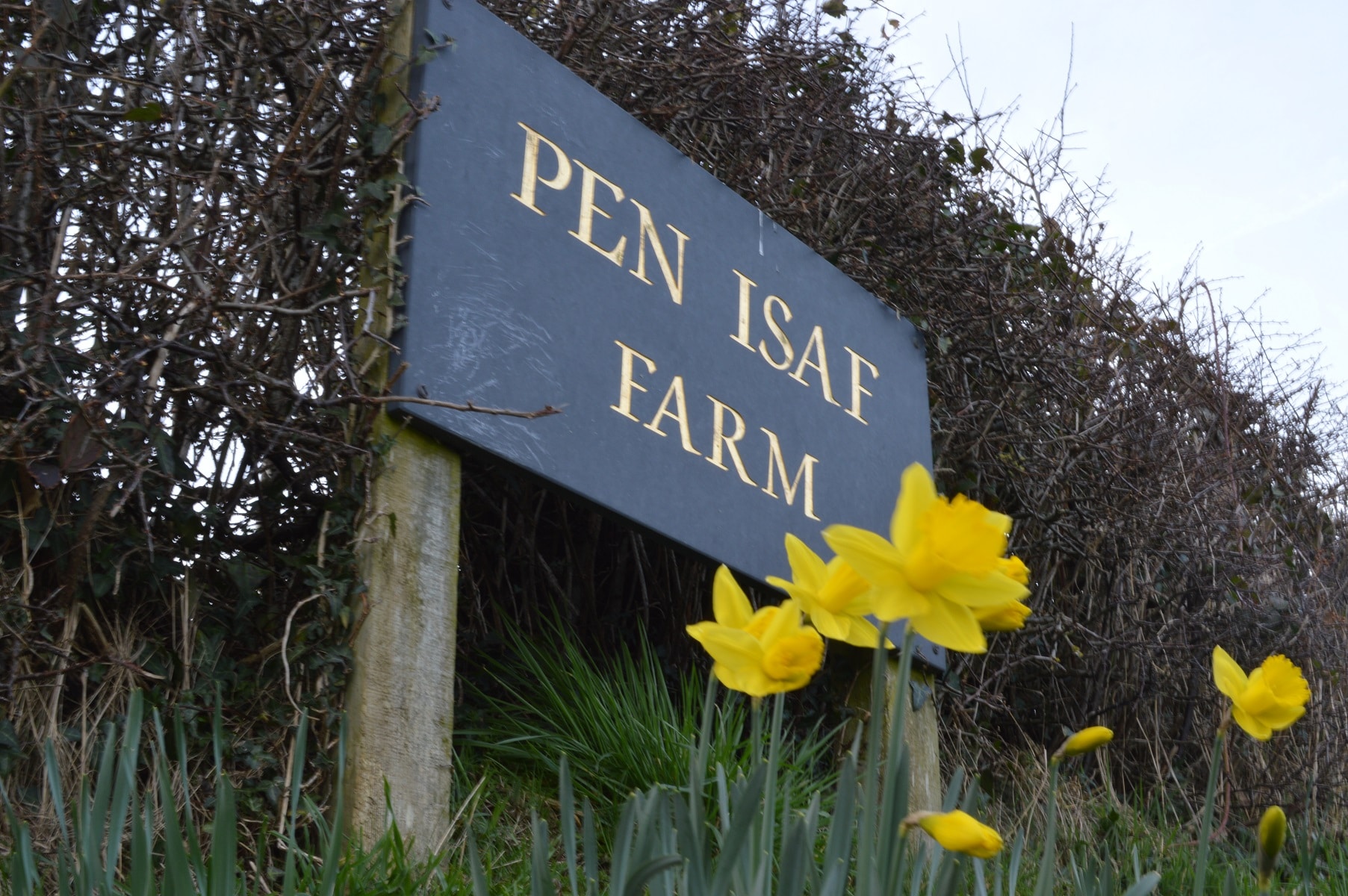 Pen Isaf Farm